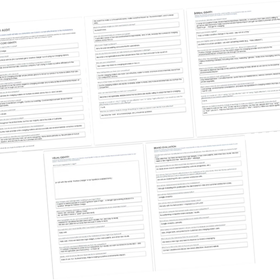 Brand Audit